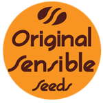 DO-SI-DOS OG | Original Sensible Seeds
