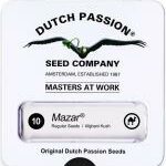 Mazar | Dutch Passion