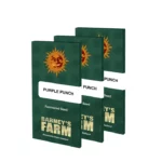 Purple Punch | Barney's farm