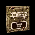 Siberian Haze | Kalashnikov Seeds