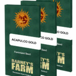 Acapulco Gold