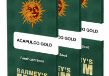 Acapulco Gold
