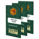 Bad Azz Kush | Barney's Farm