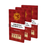 Pineapple Express Auto | Barney's farm