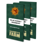 Blue Sunset Sherbet | Barney's Farm
