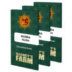 Bubba Kush | Barney's Farm