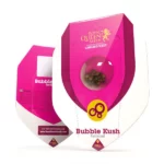 Bubble Kush | Royal Queen Seeds