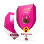 Bubblegum XL | Royal Queen Seeds