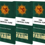 CBD Critical Cure | Barney's Farm