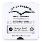 Orange Bud | Dutch Passion