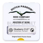 Glubeberry OG | Dutch Passion