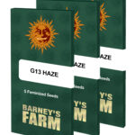 G13 Haze | Barney's farm