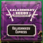 Kalashnikov Express | Kalashnikov Seeds