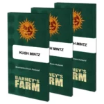 Kush Mintz | Barney's Farm