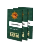 Lemon Tree | Barney's Farm