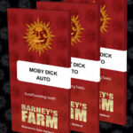 Moby Dick Auto | Barney's farm