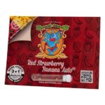 Red Strawberry Banana Auto | Sweet Seeds