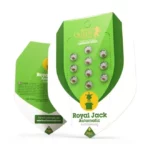 Royal Jack Auto | Royal Queen Seeds