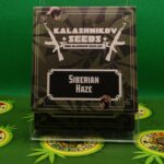 Siberian Haze Auto | Kalashnikov Seeds