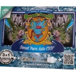 Sweet Pure Auto CBD | Sweet seeds