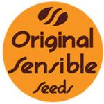 Orange Diesel | Original Sensible Seeds
