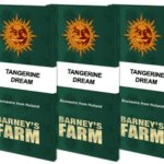 Tangerine Dream | Barney's farm