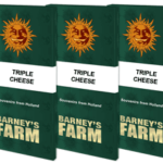 Triple Cheese | Barney's farm