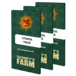 Utopia Haze | Barney's farm