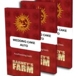 Weeding Cake Auto | barney's farm