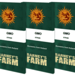 GMO | Barney's Farm